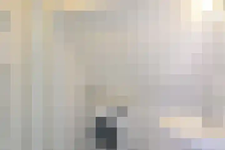 Adamshofstraat 111 B Rotterdam thumbnail 12