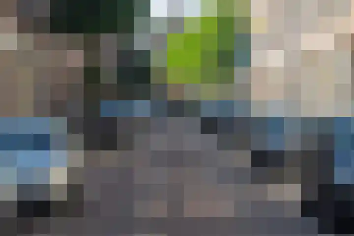 Adamshofstraat 111 B Rotterdam thumbnail 18