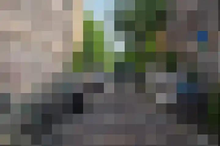 Adamshofstraat 111 B Rotterdam thumbnail 19
