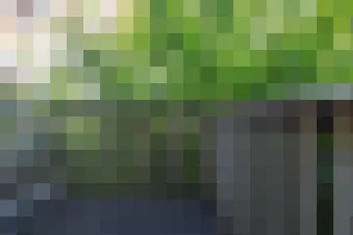 Adamshofstraat 111 B Rotterdam thumbnail 4
