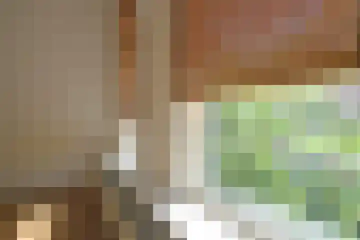 Adamshofstraat 111 B Rotterdam thumbnail 7