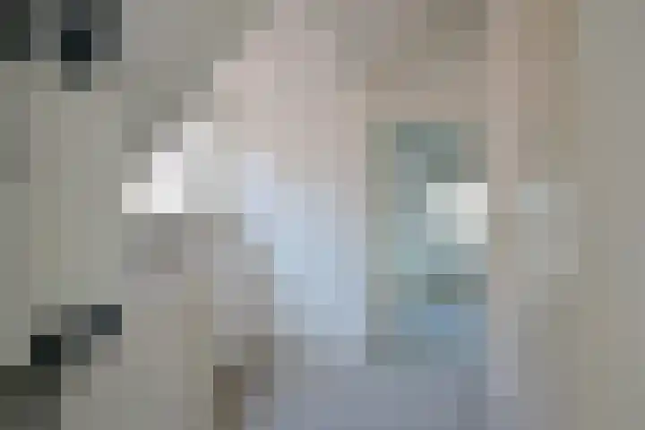 Adamshofstraat 111 B Rotterdam thumbnail 9