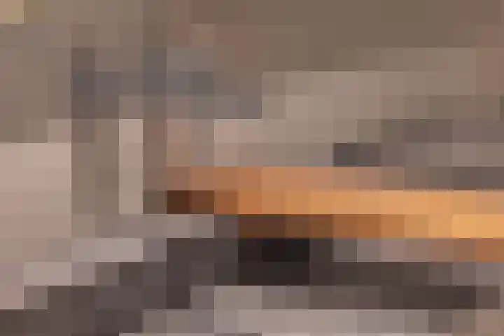 Adamshofstraat 122 Rotterdam thumbnail 13