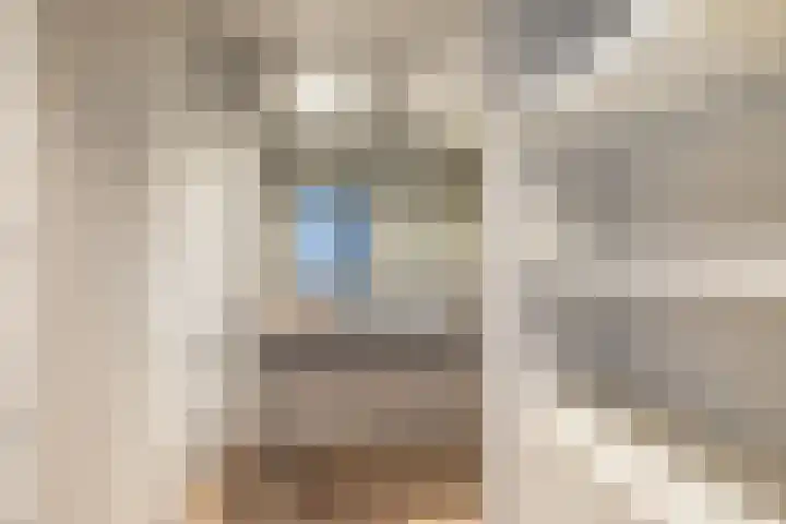 Adamshofstraat 122 Rotterdam thumbnail 15