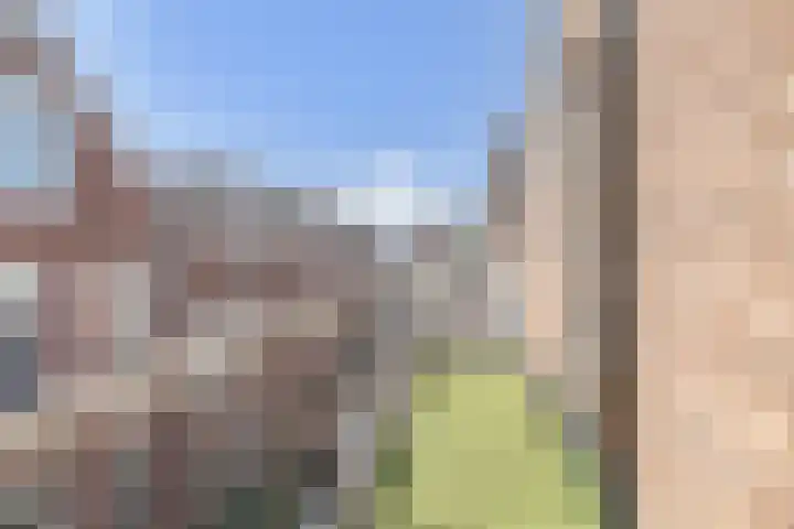 Adamshofstraat 122 Rotterdam thumbnail 30