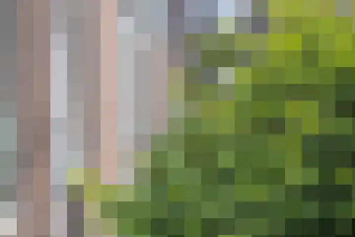 Adamshofstraat 122 Rotterdam thumbnail 32