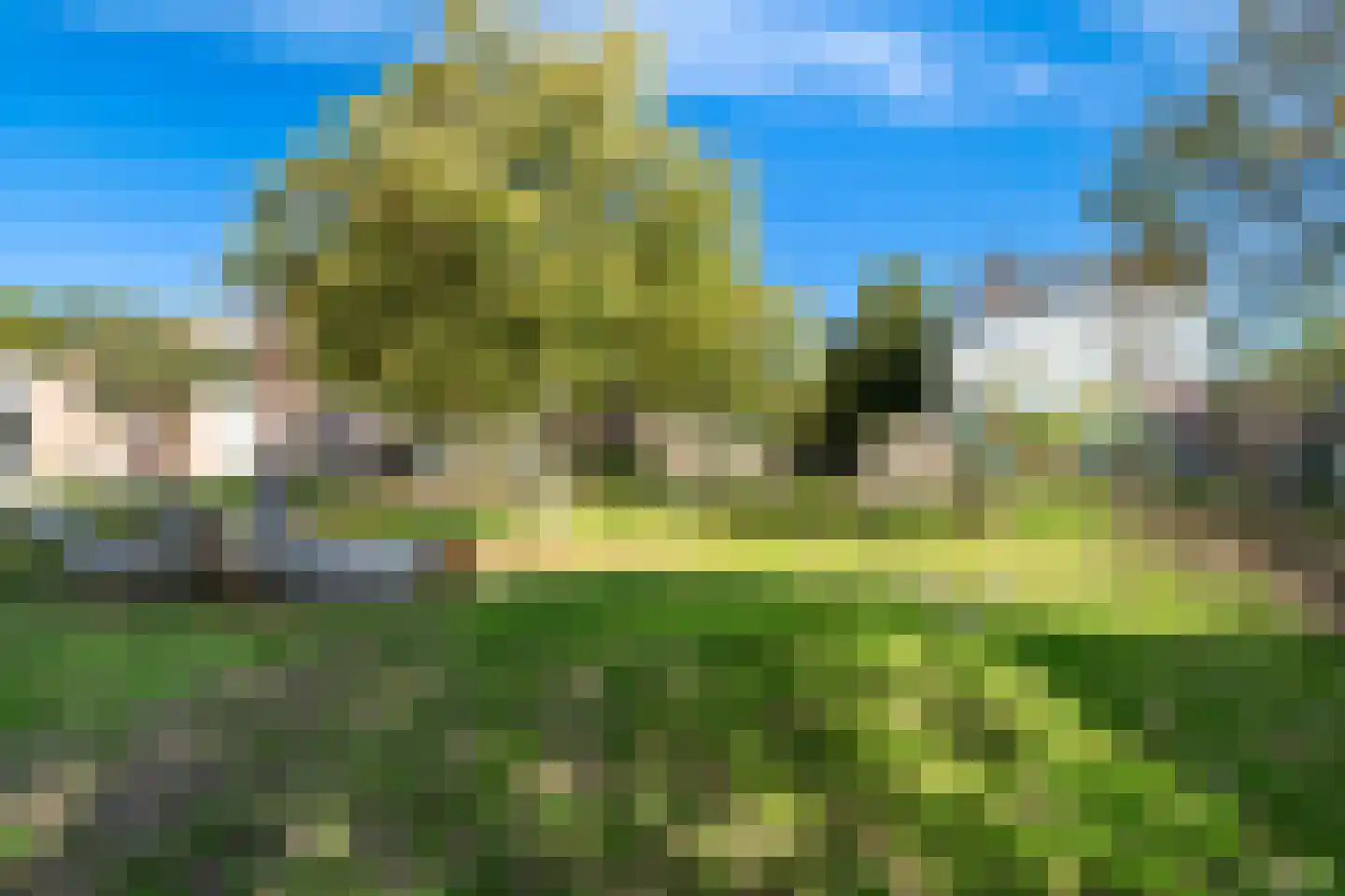 Adamshofstraat 128 A Rotterdam thumbnail 22