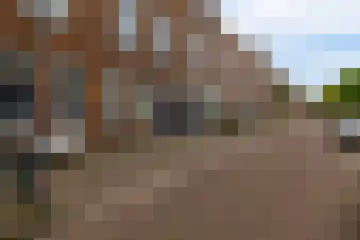 Adamshofstraat 146 A Rotterdam thumbnail 27