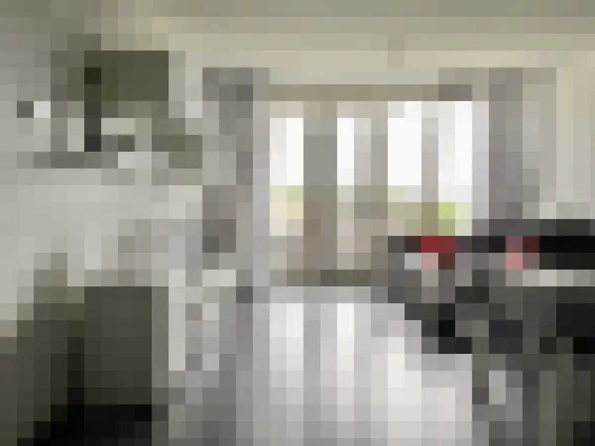 Adamshofstraat 53 Rotterdam thumbnail 4