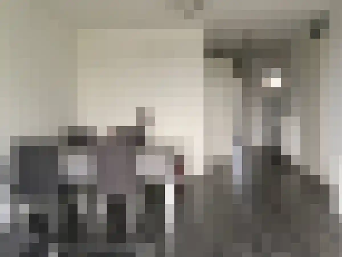 Adamshofstraat 59 Rotterdam thumbnail 6