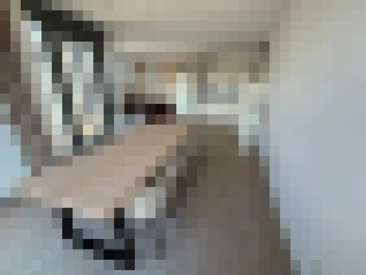 Adamshofstraat 75 Rotterdam thumbnail 6