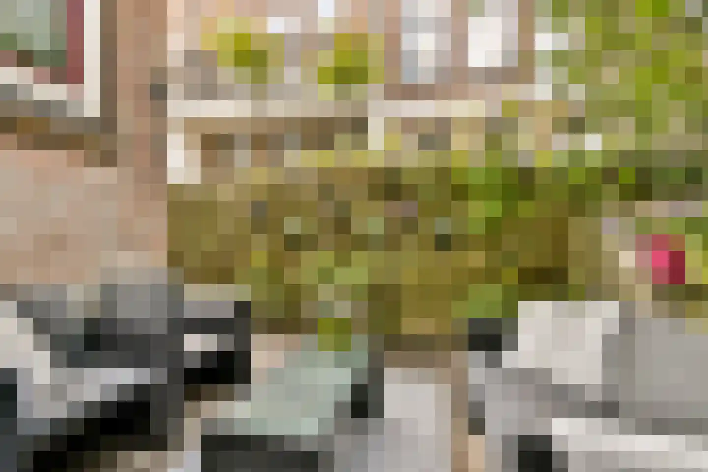 Adamshofstraat 99 A Rotterdam thumbnail 12