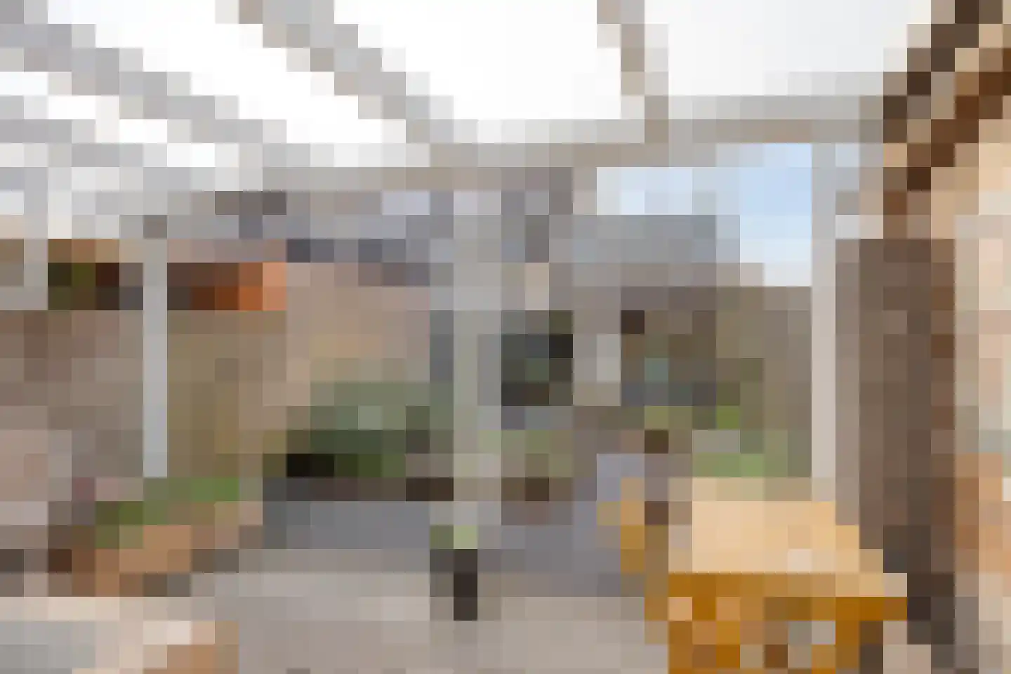Adamsweg 10 Tiel thumbnail 36