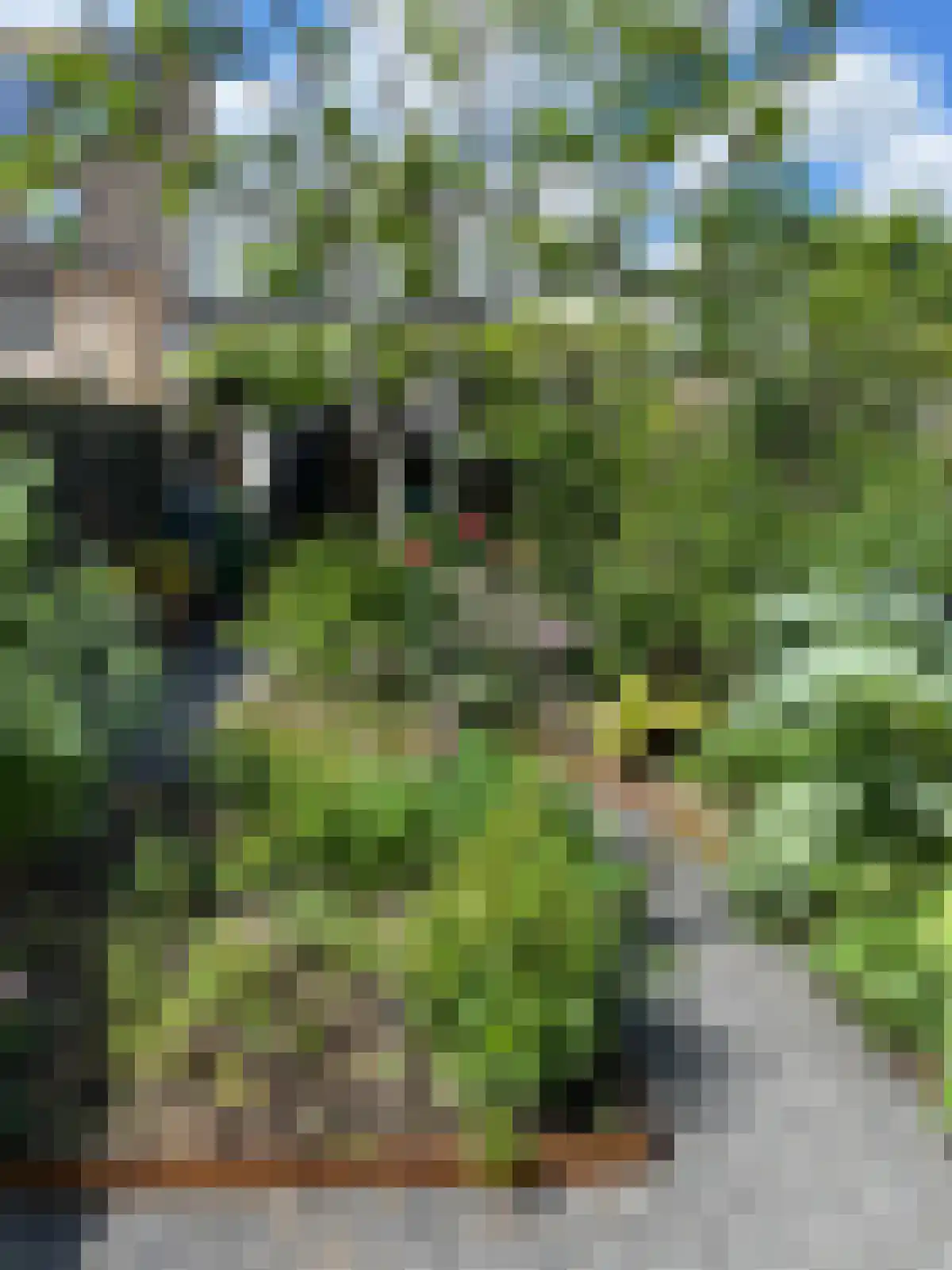 Adamsweg 10 Tiel thumbnail 39
