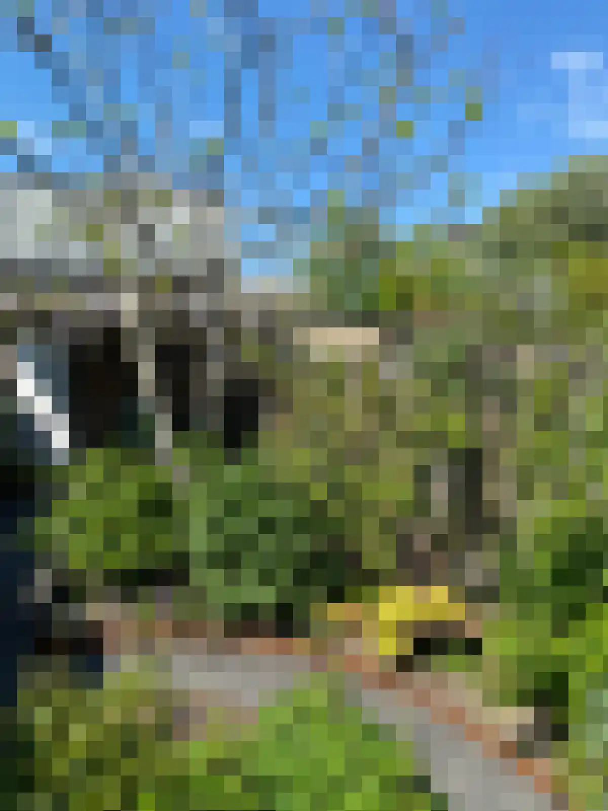 Adamsweg 10 Tiel thumbnail 41
