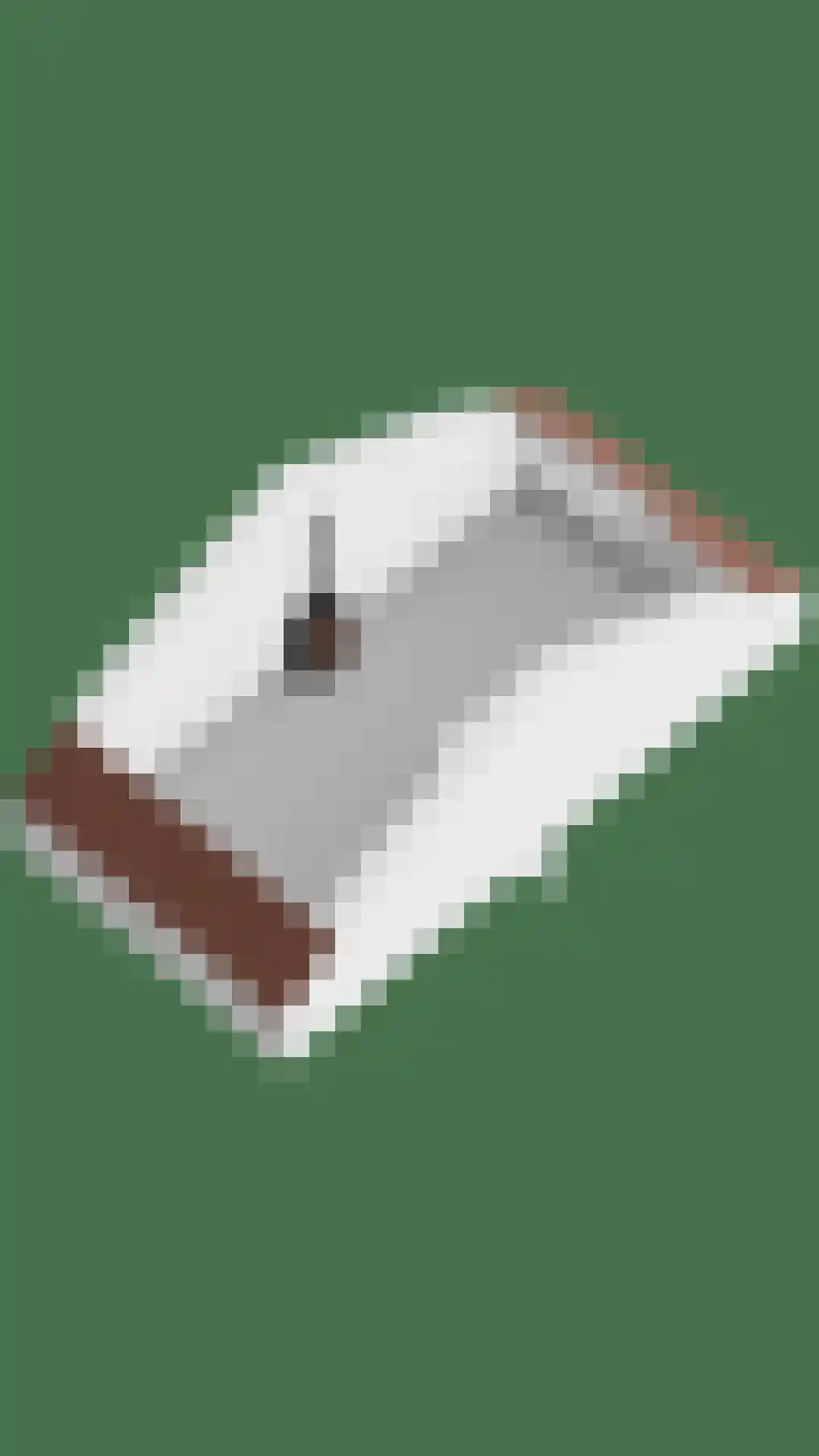 Adamsweg 10 Tiel thumbnail 63