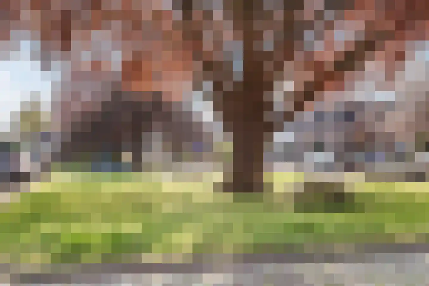 Adamsweg 16 Tiel thumbnail 32