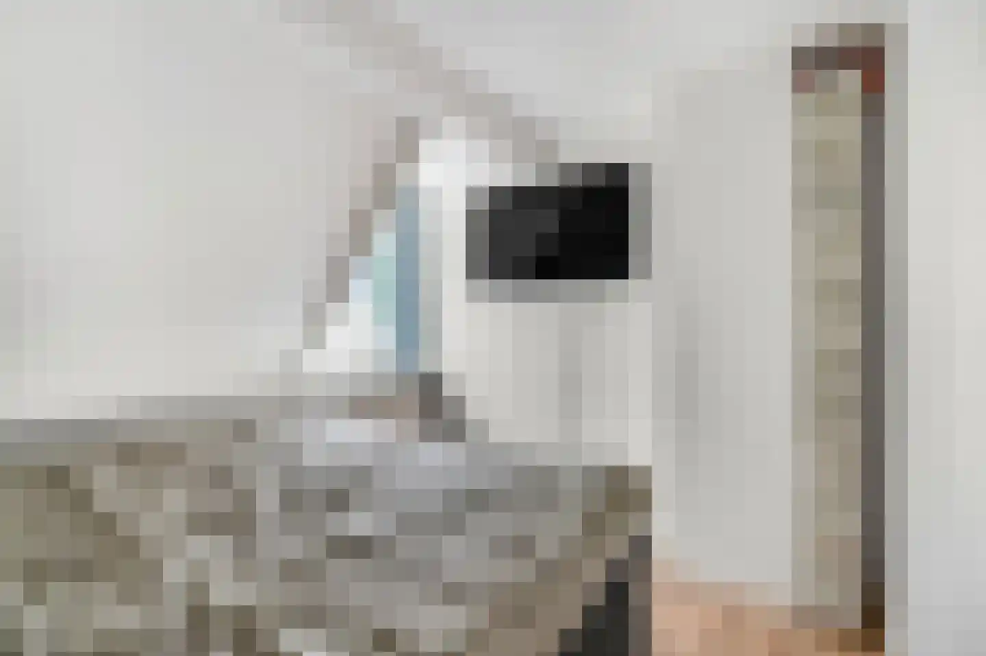 Adamsweg 28 Tiel thumbnail 4
