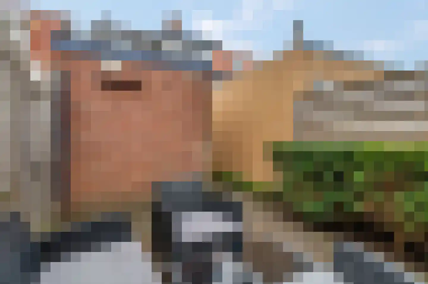Adamsweg 28 Tiel thumbnail 40