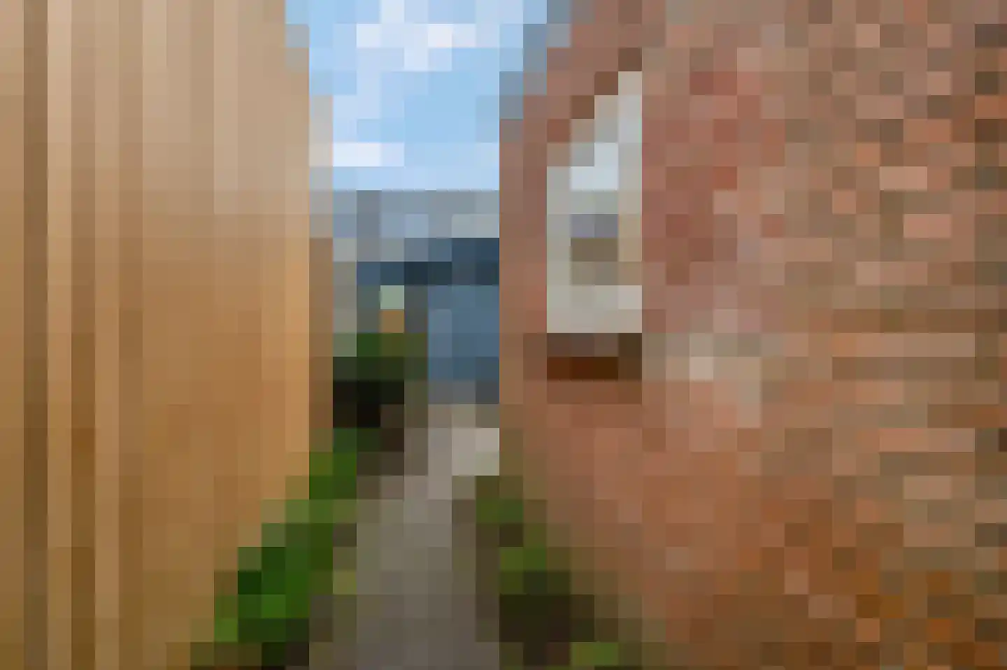 Adamsweg 28 Tiel thumbnail 42