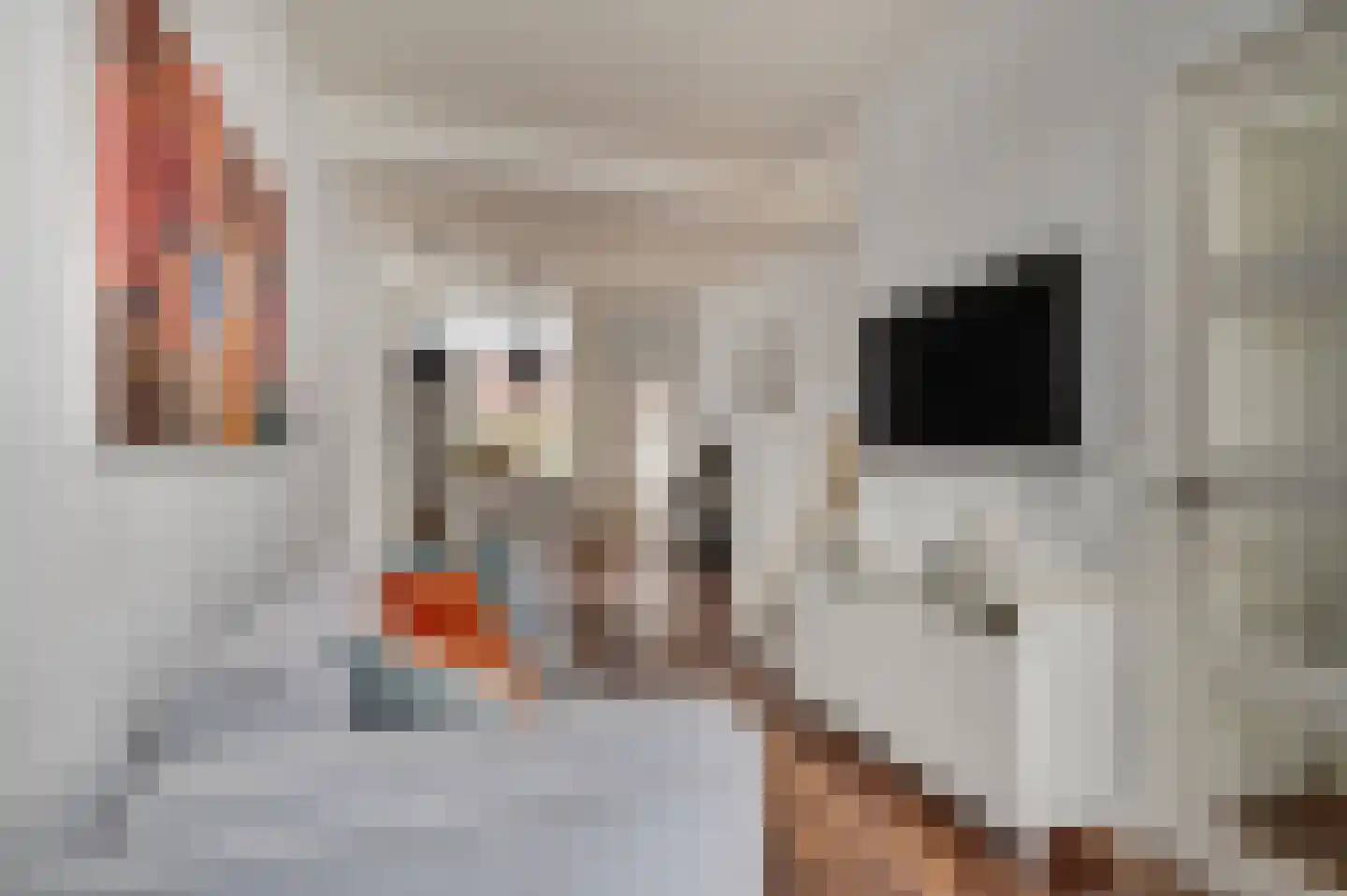 Adamsweg 28 Tiel thumbnail 7