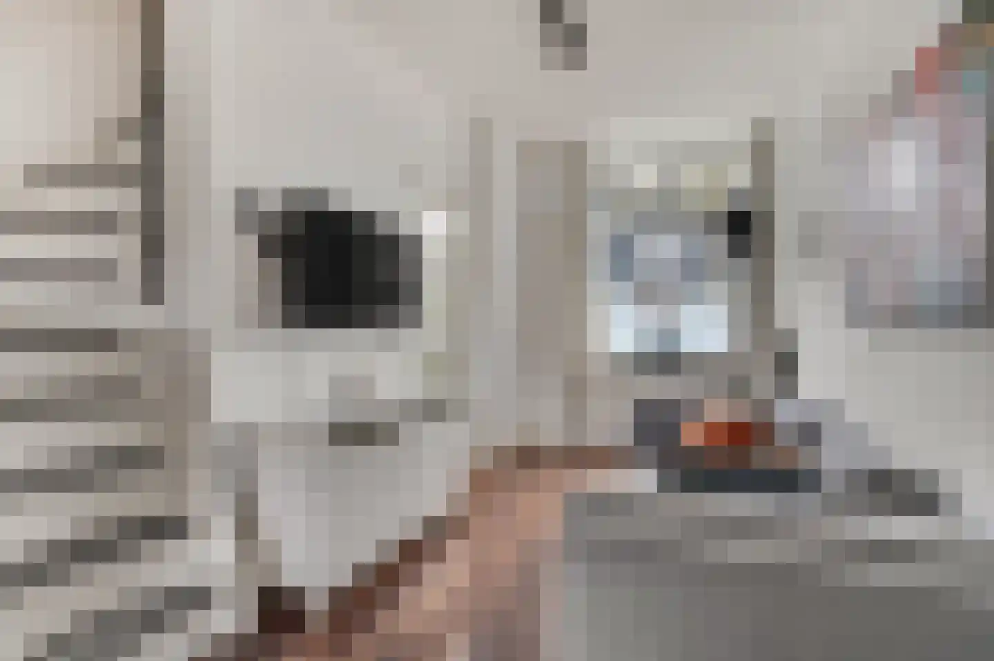 Adamsweg 28 Tiel thumbnail 9