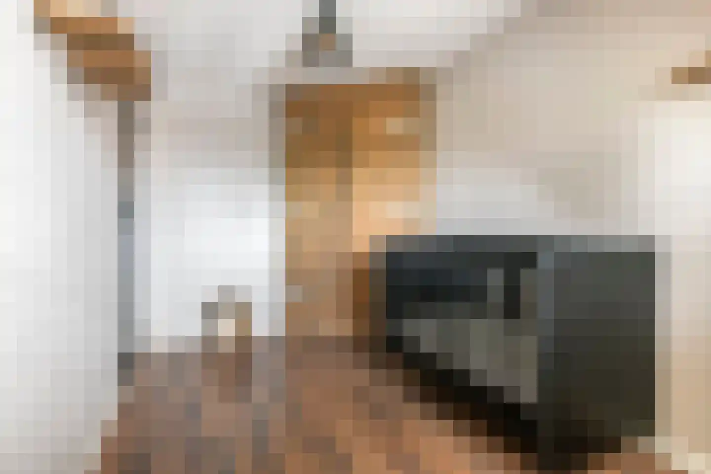 Adamsweg 34 Tiel thumbnail 30