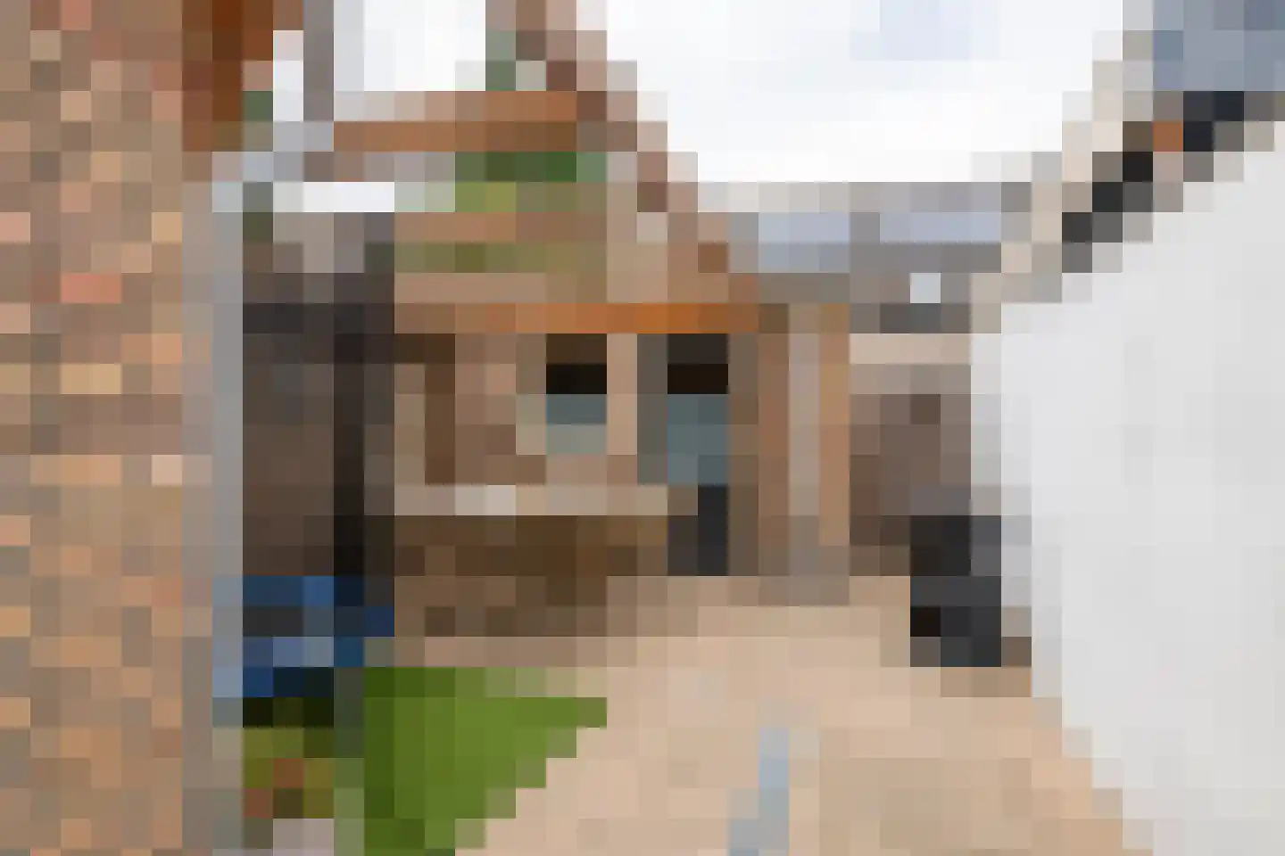 Adamsweg 34 Tiel thumbnail 31
