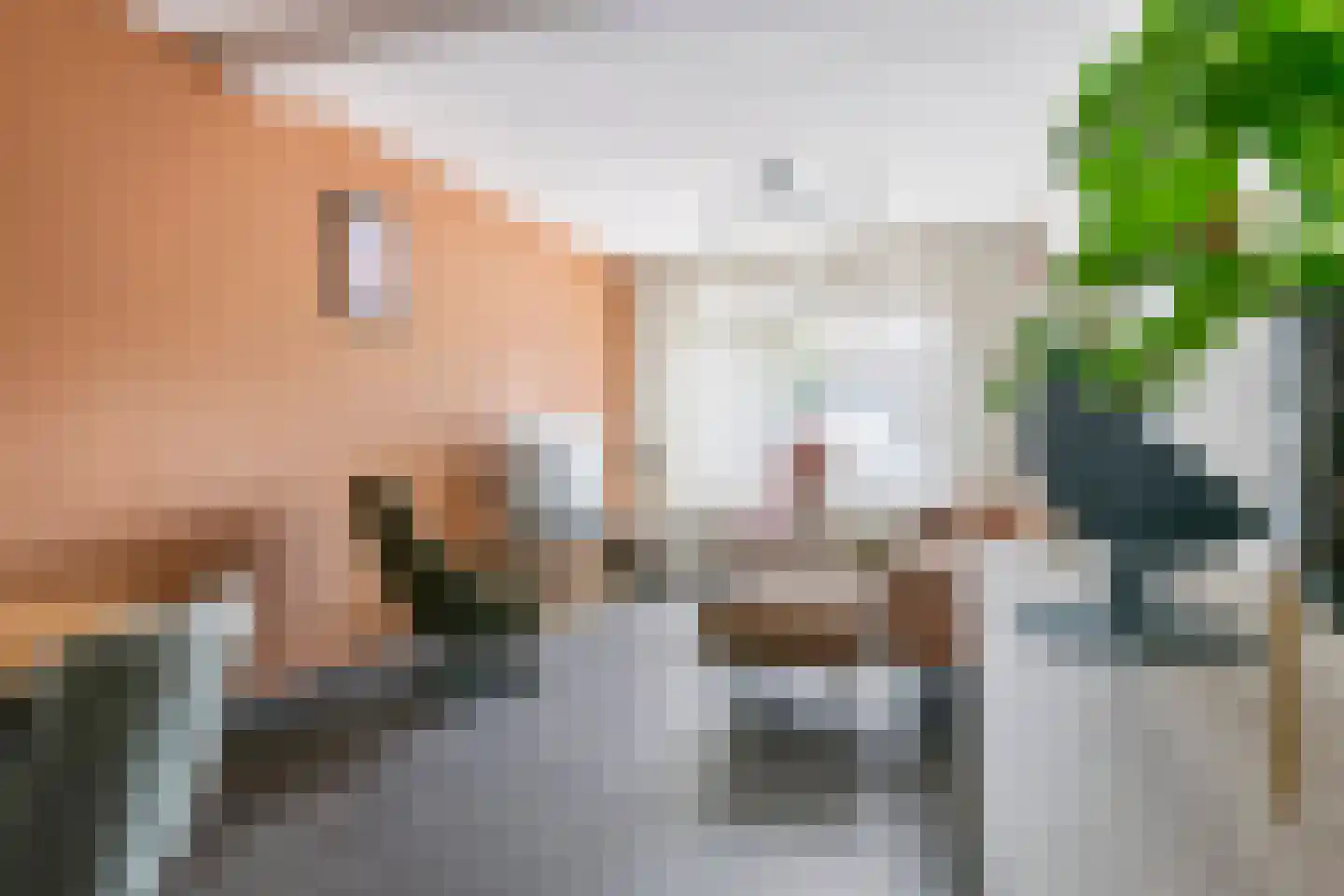 Adamsweg 34 Tiel thumbnail 7