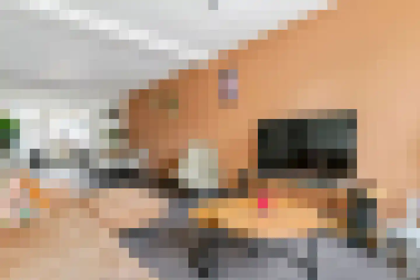 Adamsweg 34 Tiel thumbnail 8