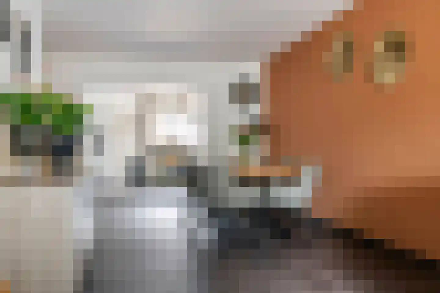 Adamsweg 34 Tiel thumbnail 9