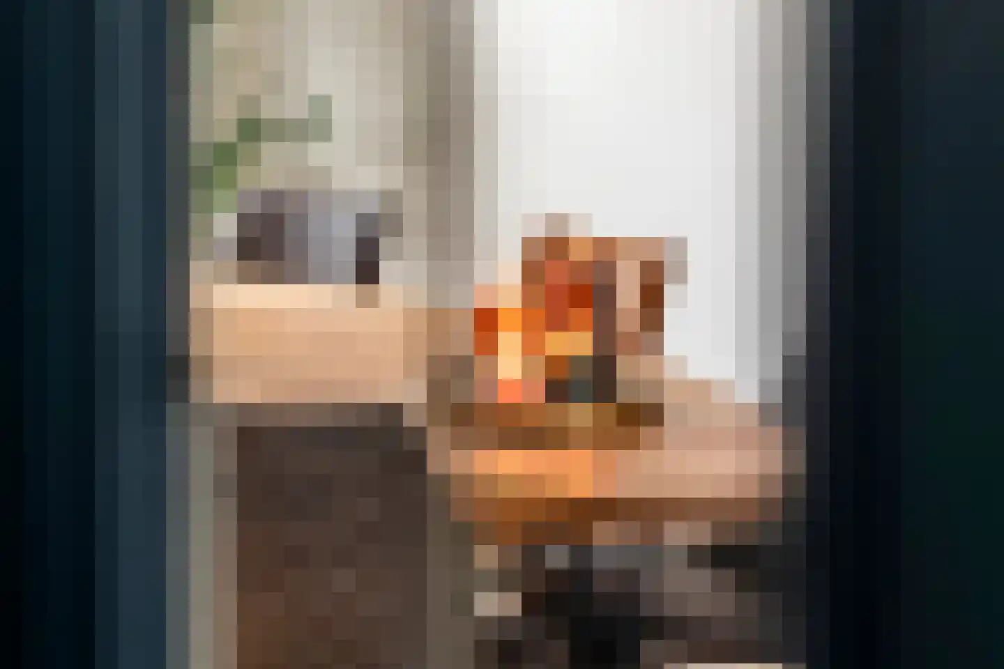 Adamsweg 36 Tiel thumbnail 16
