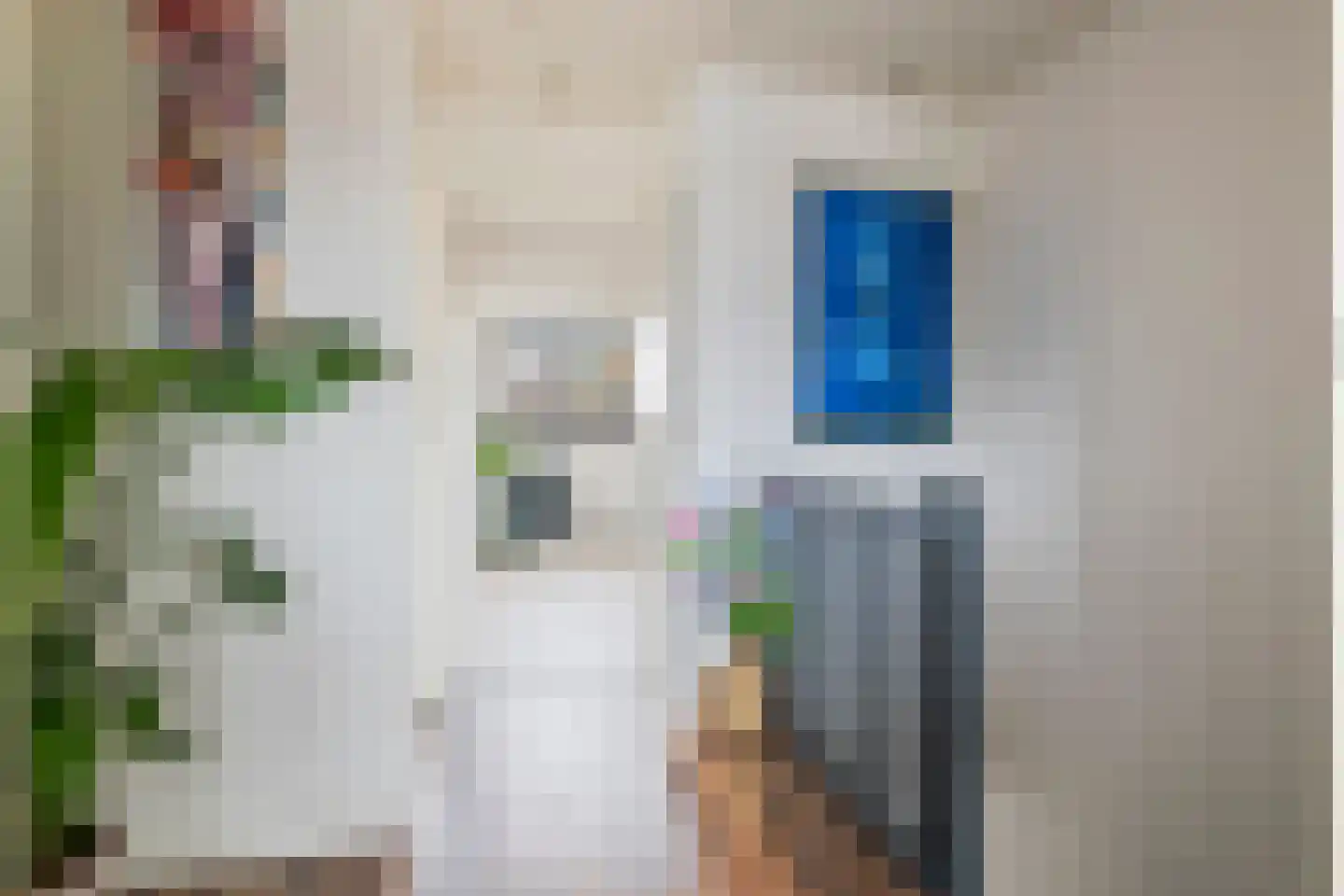 Adamsweg 36 Tiel thumbnail 23