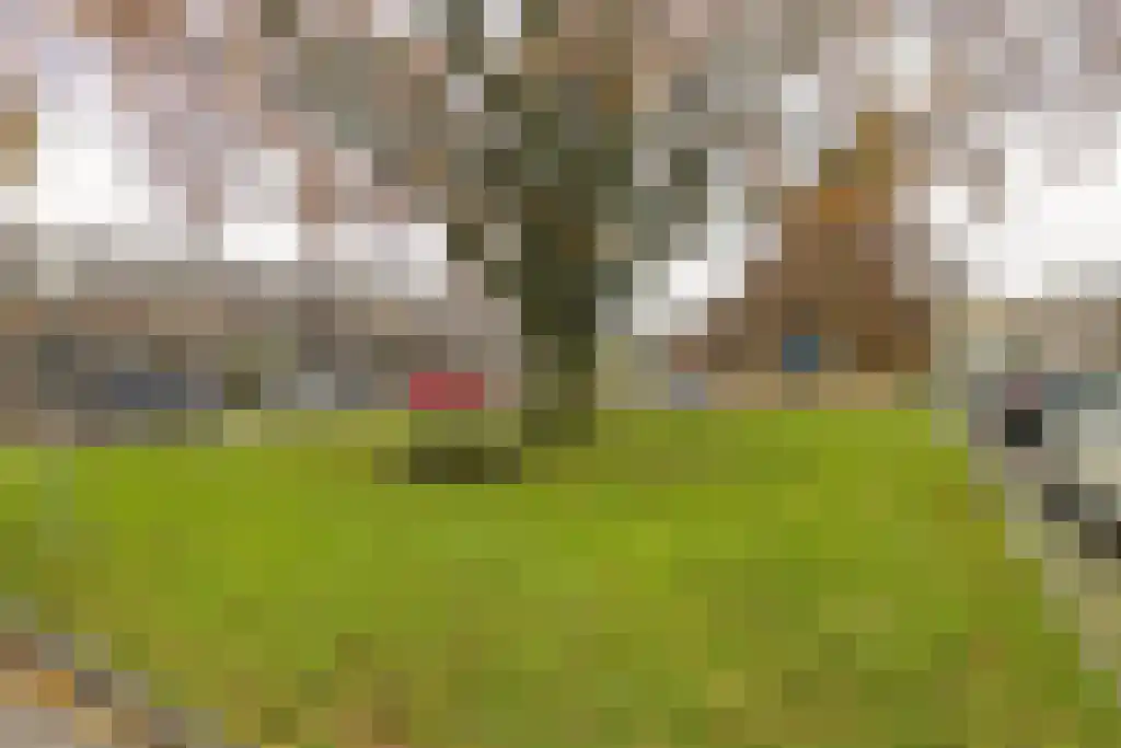 Adamsweg 36 Tiel thumbnail 43