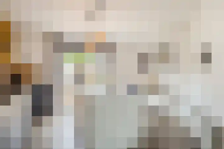 Adamsweg 42 Tiel thumbnail 13