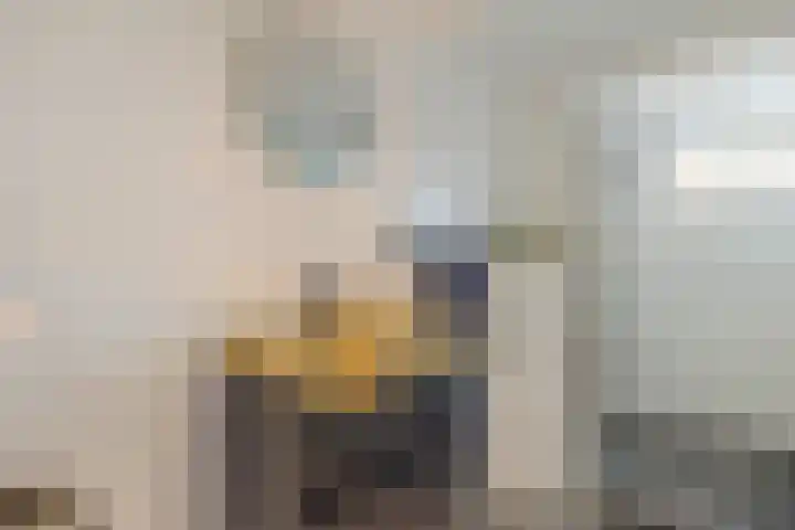 Adamsweg 42 Tiel thumbnail 23