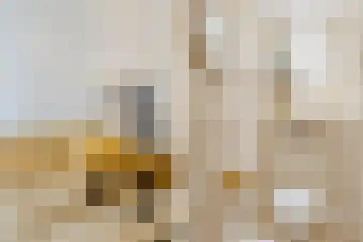 Adamsweg 42 Tiel thumbnail 25