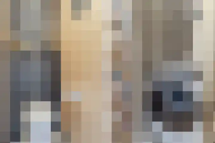 Adamsweg 42 Tiel thumbnail 26