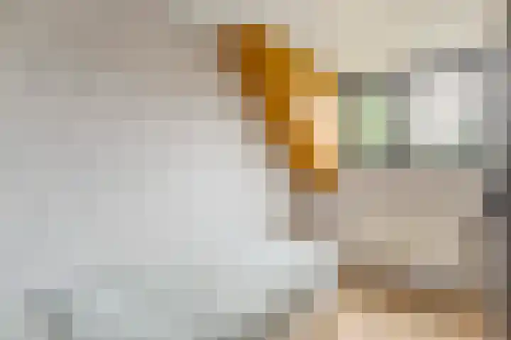 Adamsweg 42 Tiel thumbnail 28