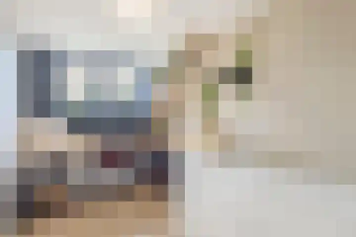 Adamsweg 42 Tiel thumbnail 30