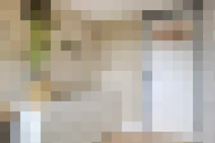 Adamsweg 42 Tiel thumbnail 31