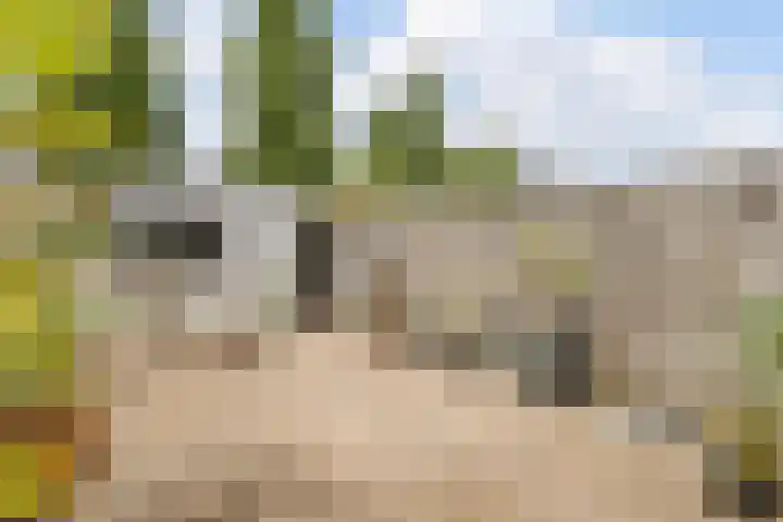 Adamsweg 42 Tiel thumbnail 33