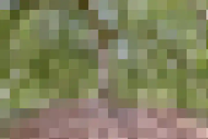 Adamsweg 42 Tiel thumbnail 37