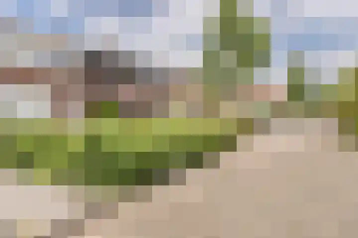 Adamsweg 42 Tiel thumbnail 5