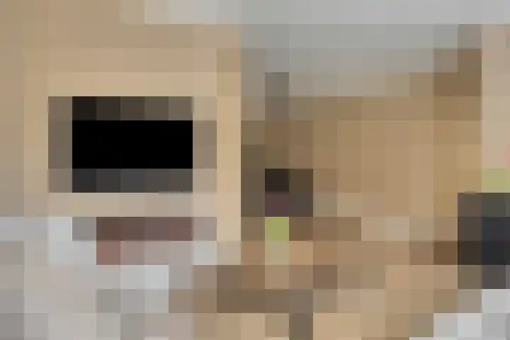 Adamsweg 45 Hengelo thumbnail 10