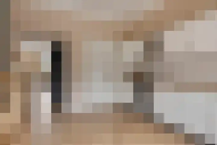 Adamsweg 45 Hengelo thumbnail 18