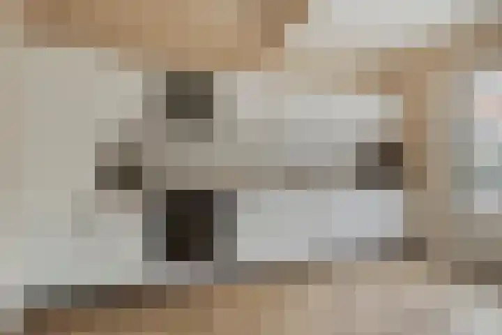 Adamsweg 45 Hengelo thumbnail 19