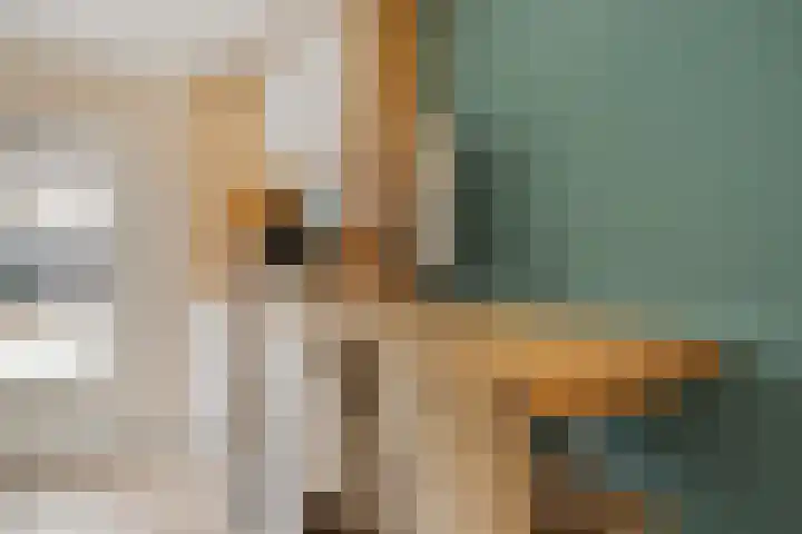 Adamsweg 45 Hengelo thumbnail 20