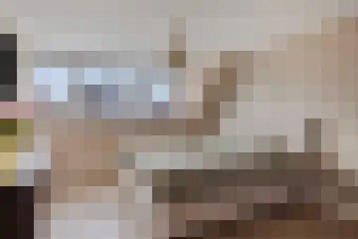 Adamsweg 45 Hengelo thumbnail 30