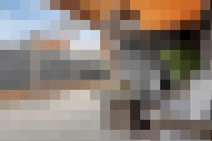 Adamsweg 45 Hengelo thumbnail 46
